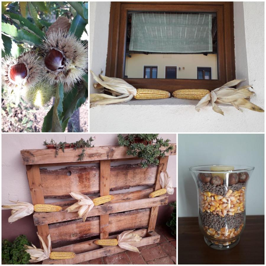 Ca' di Burghi Hotel Busca Exterior foto